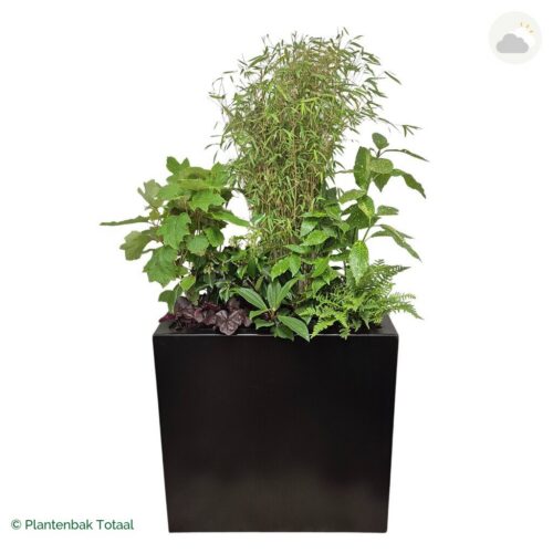 productfoto van plantenbak Aluminium Carrez Rechthoek Set Amazone