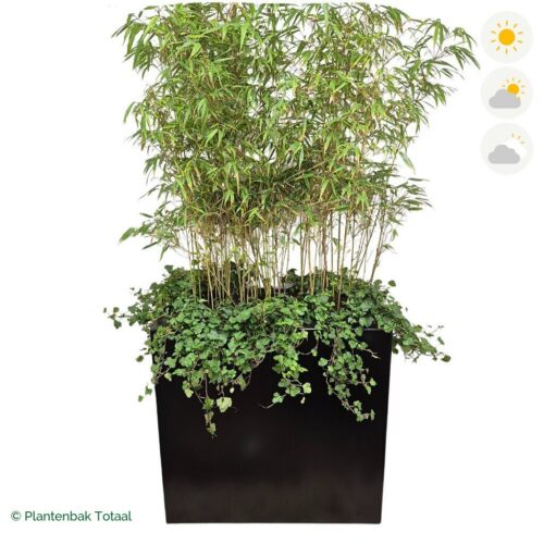 productfoto van plantenbak Aluminium Carrez Rechthoek Bamboe Afscheiding