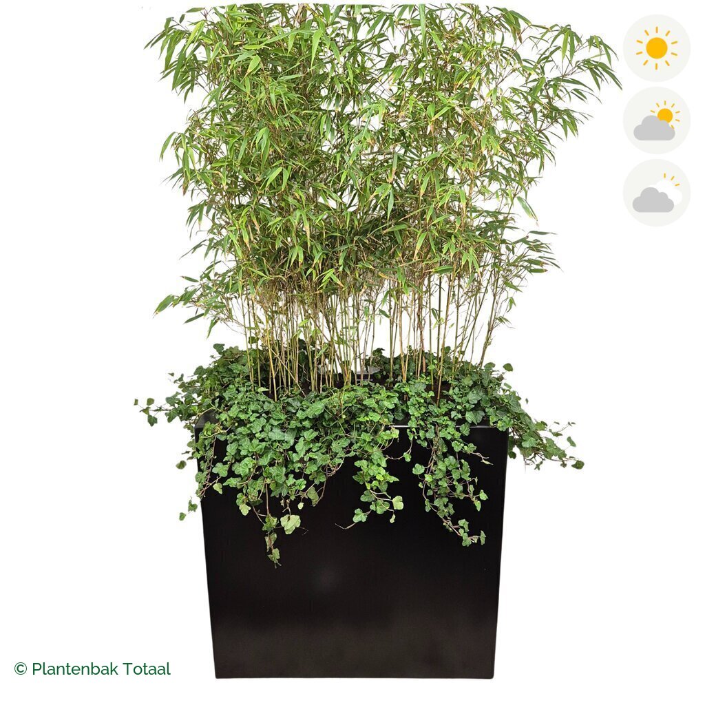 productfoto van plantenbak Aluminium Carrez Rechthoek Bamboe Afscheiding