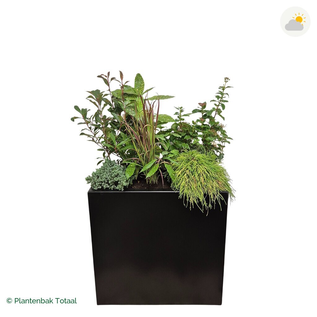 productfoto van plantenbak Aluminium Carrez Rechthoek Set Eifel