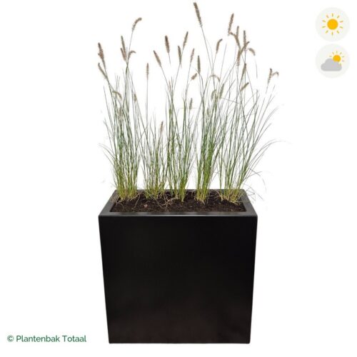 productfoto van plantenbak Aluminium Carrez Rechthoek Lampenpoetsersgras