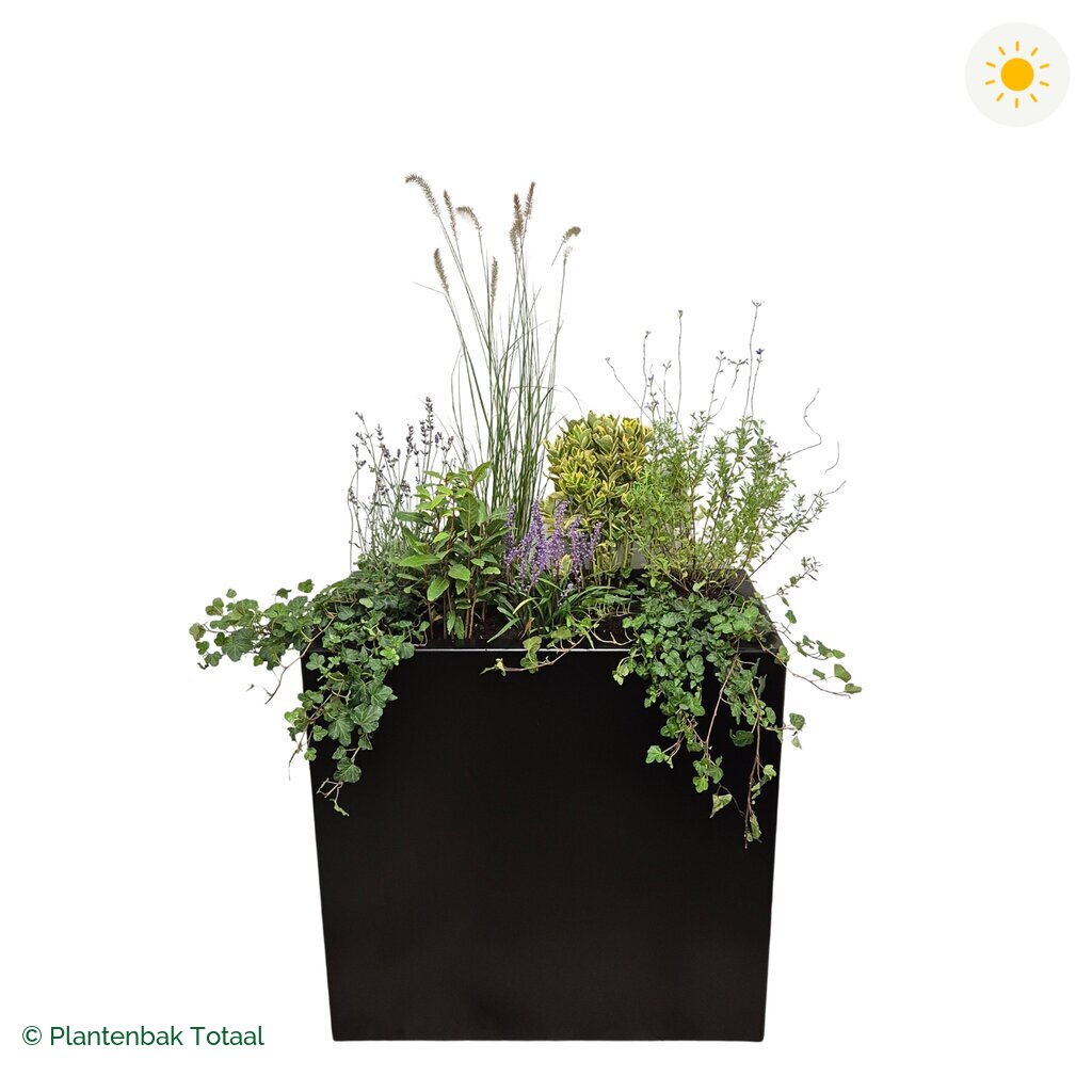 productfoto van plantenbak Aluminium Carrez Rechthoek Set Provence