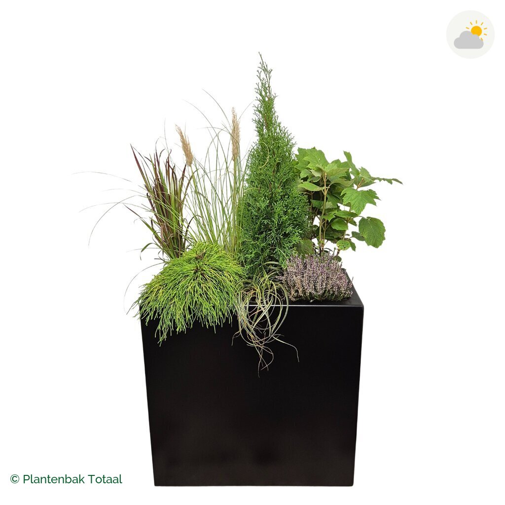 productfoto van plantenbak Aluminium Carrez Rechthoek Set Veluwe