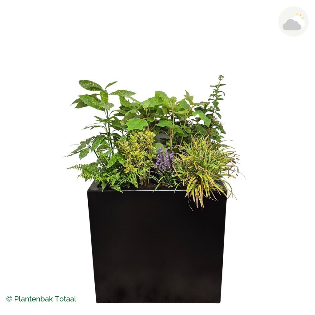 productfoto van plantenbak Aluminium Carrez Rechthoek Set York