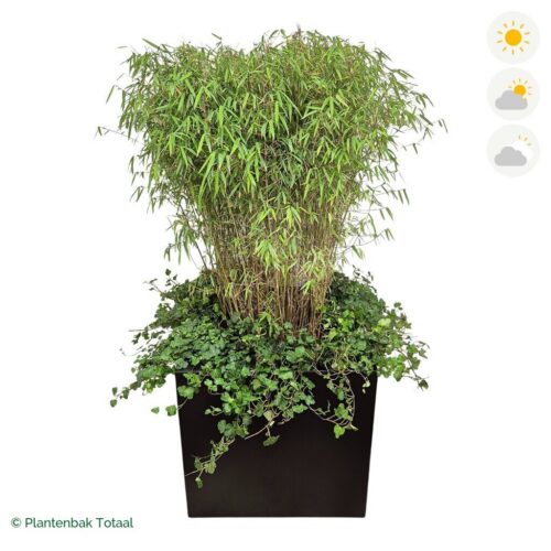 productfoto van plantenbak Aluminium Carrez Vierkant Bamboe Combinatie