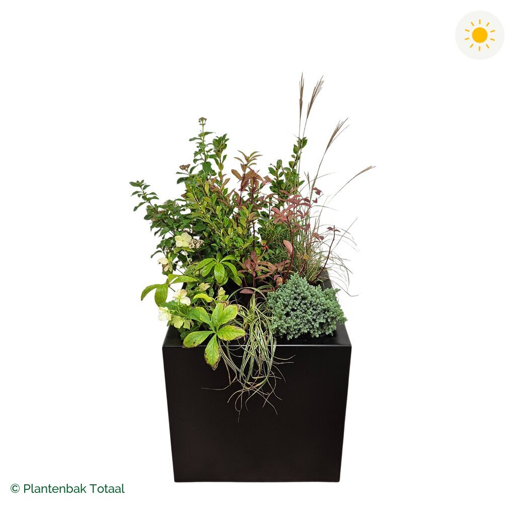 productfoto van plantenbak Aluminium Carrez Vierkant Set Bretagne