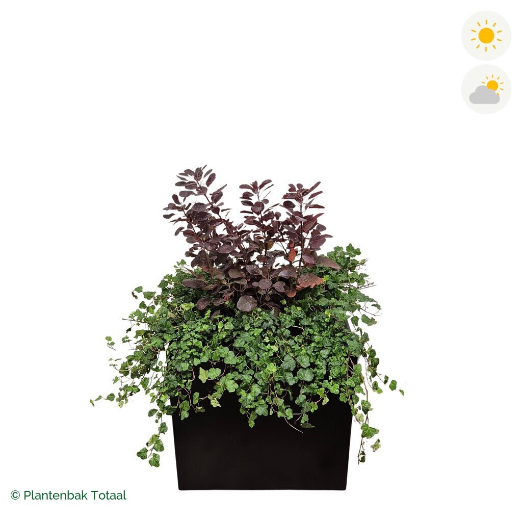 productfoto van plantenbak Aluminium Carrez Vierkant Pruikenboom Combinatie