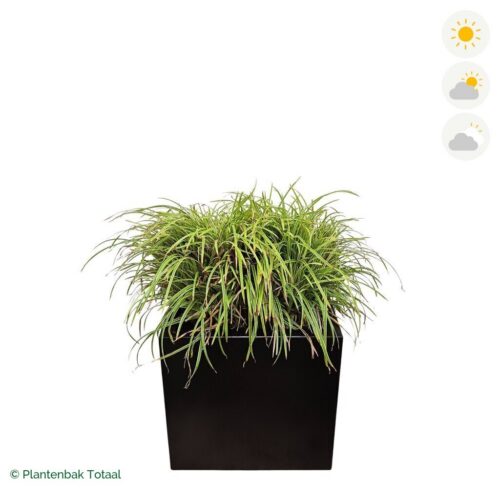 productfoto van plantenbak Aluminium Carrez Vierkant Zegge