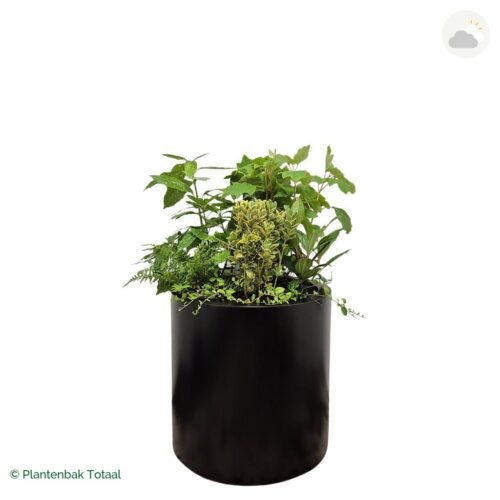 productfoto van plantenbak Aluminium Circum Set Amazone