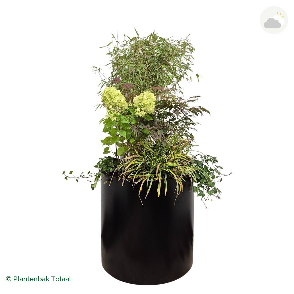 productfoto van plantenbak Aluminium Circum Set Himalaya