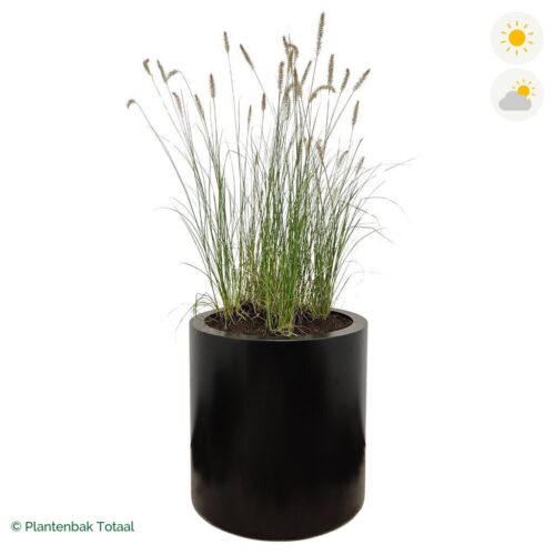 productfoto van plantenbak Aluminium Circum Lampenpoetsersgras