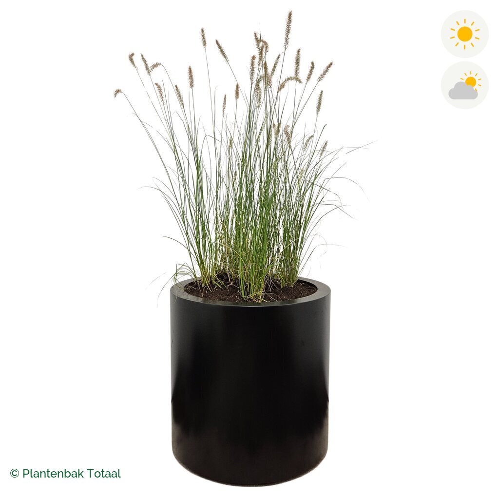 productfoto van plantenbak Aluminium Circum Lampenpoetsersgras