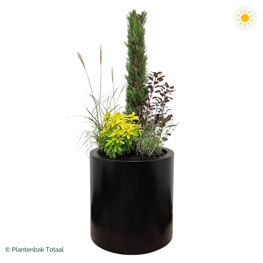 productfoto van plantenbak Aluminium Circum Set Toscane