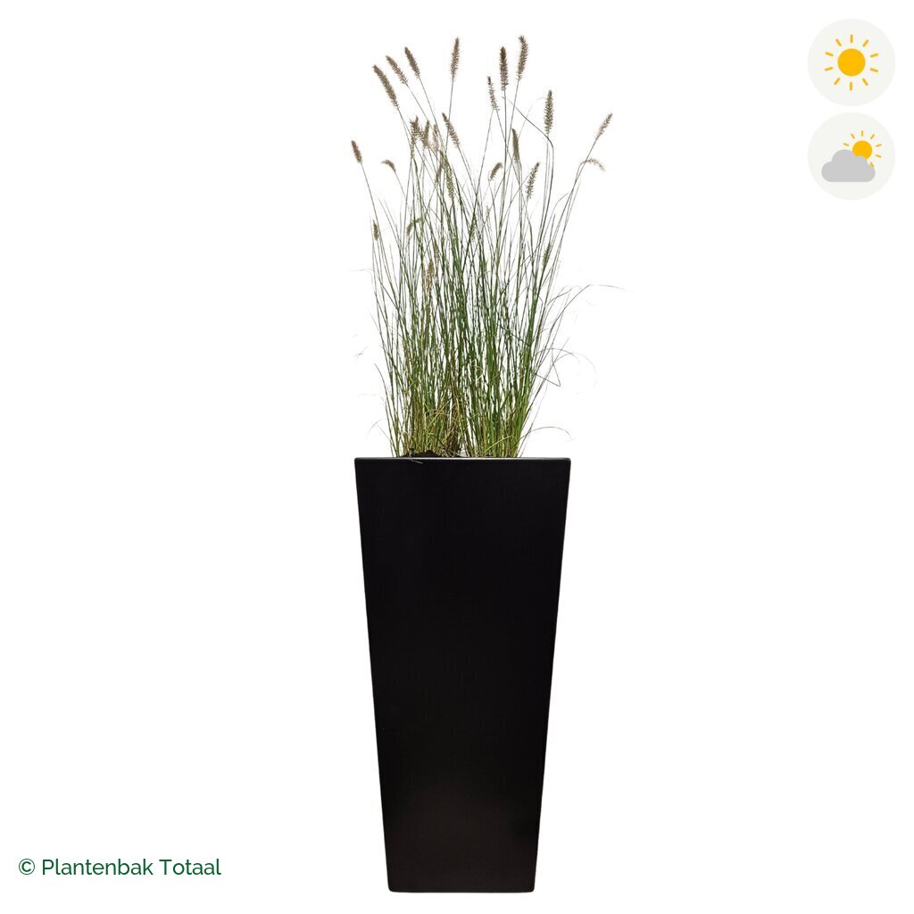 productfoto van plantenbak Aluminium Tap Lampenpoetsersgras