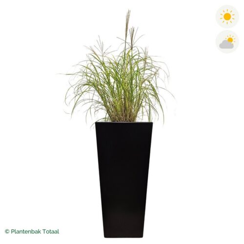 productfoto van plantenbak Aluminium Tap Prachtriet