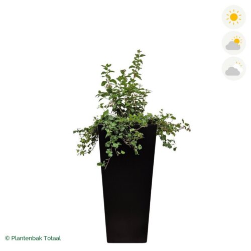 productfoto van plantenbak Aluminium Tap Sneeuwbal Combinatie