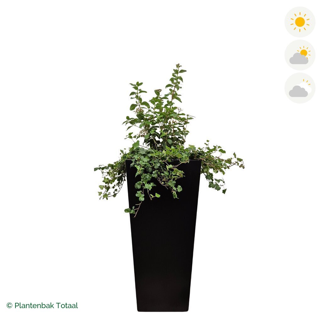 productfoto van plantenbak Aluminium Tap Sneeuwbal Combinatie