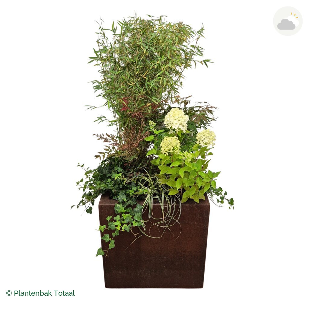 productfoto van plantenbak Cortenstaal Carrez Vierkant Set Himalaya