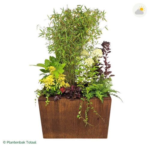 productfoto van plantenbak Cortenstaal Carrez Rechthoek Set Bohemen