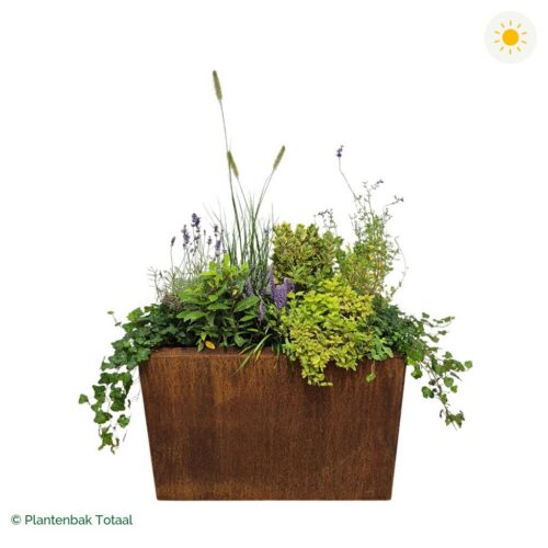 productfoto van plantenbak Cortenstaal Carrez Rechthoek Set Provence