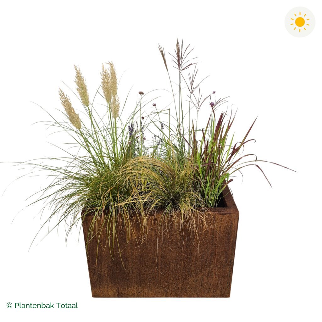 productfoto van plantenbak Cortenstaal Carrez Rechthoek Set Savanne