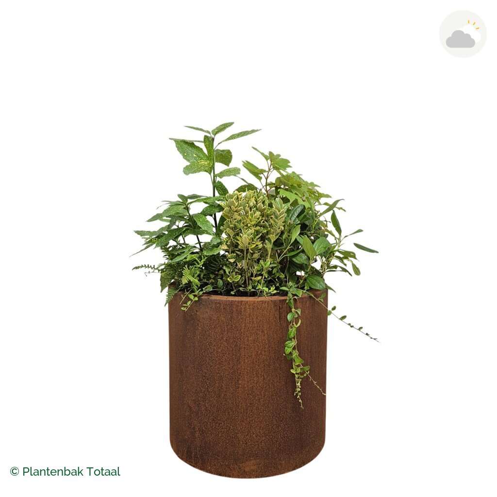 productfoto van plantenbak Cortenstaal Circum Set Amazone