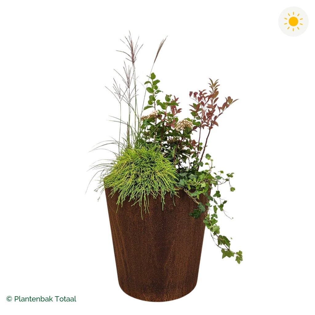 productfoto van plantenbak Cortenstaal Conic Set Bretagne