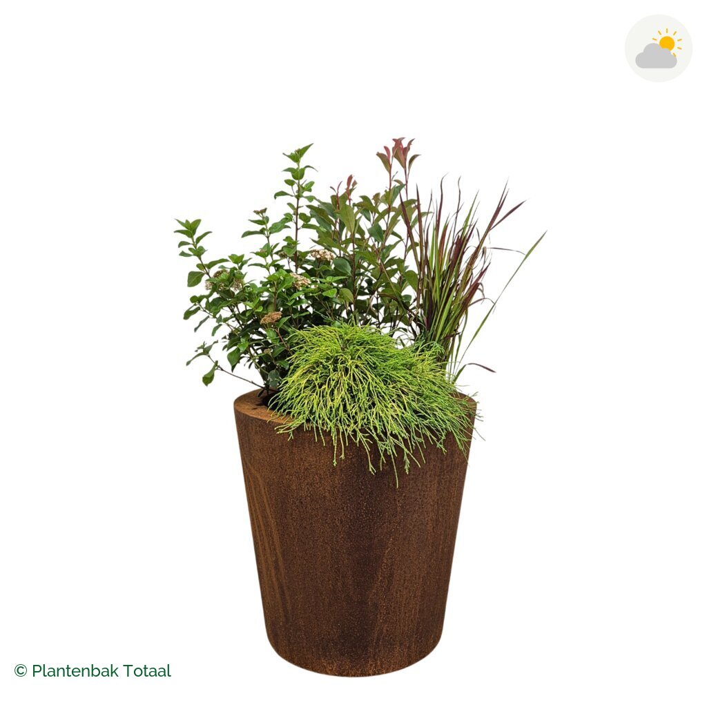 productfoto van plantenbak Cortenstaal Conic Set Eifel