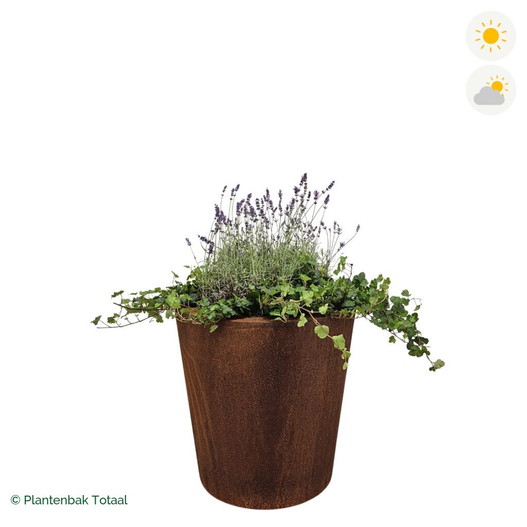 productfoto van plantenbak Cortenstaal Conic Lavendel Combinatie