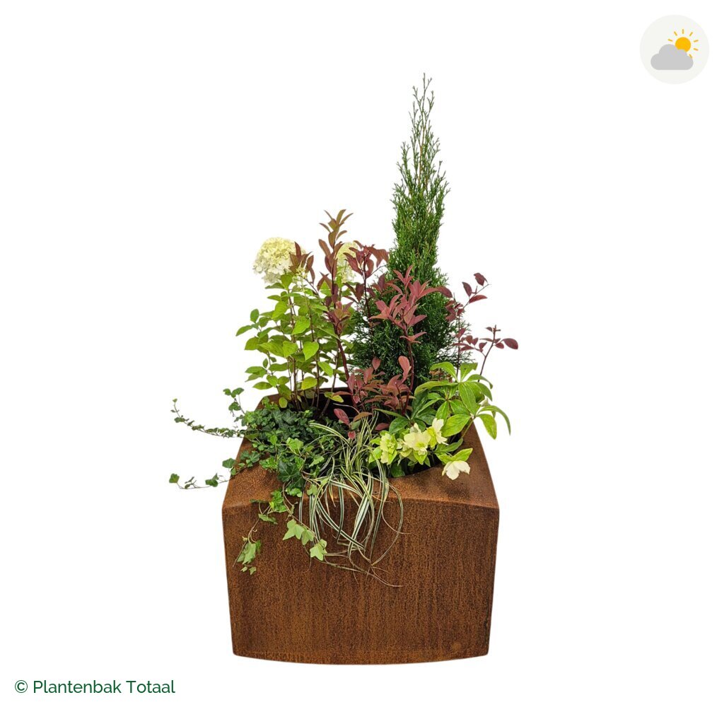 productfoto van plantenbak Cortenstaal Nooa Set Ardennen