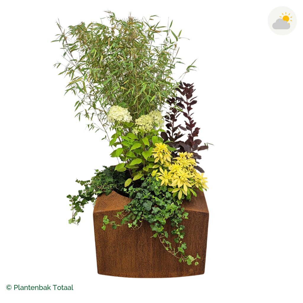 productfoto van plantenbak Cortenstaal Nooa Set Bohemen
