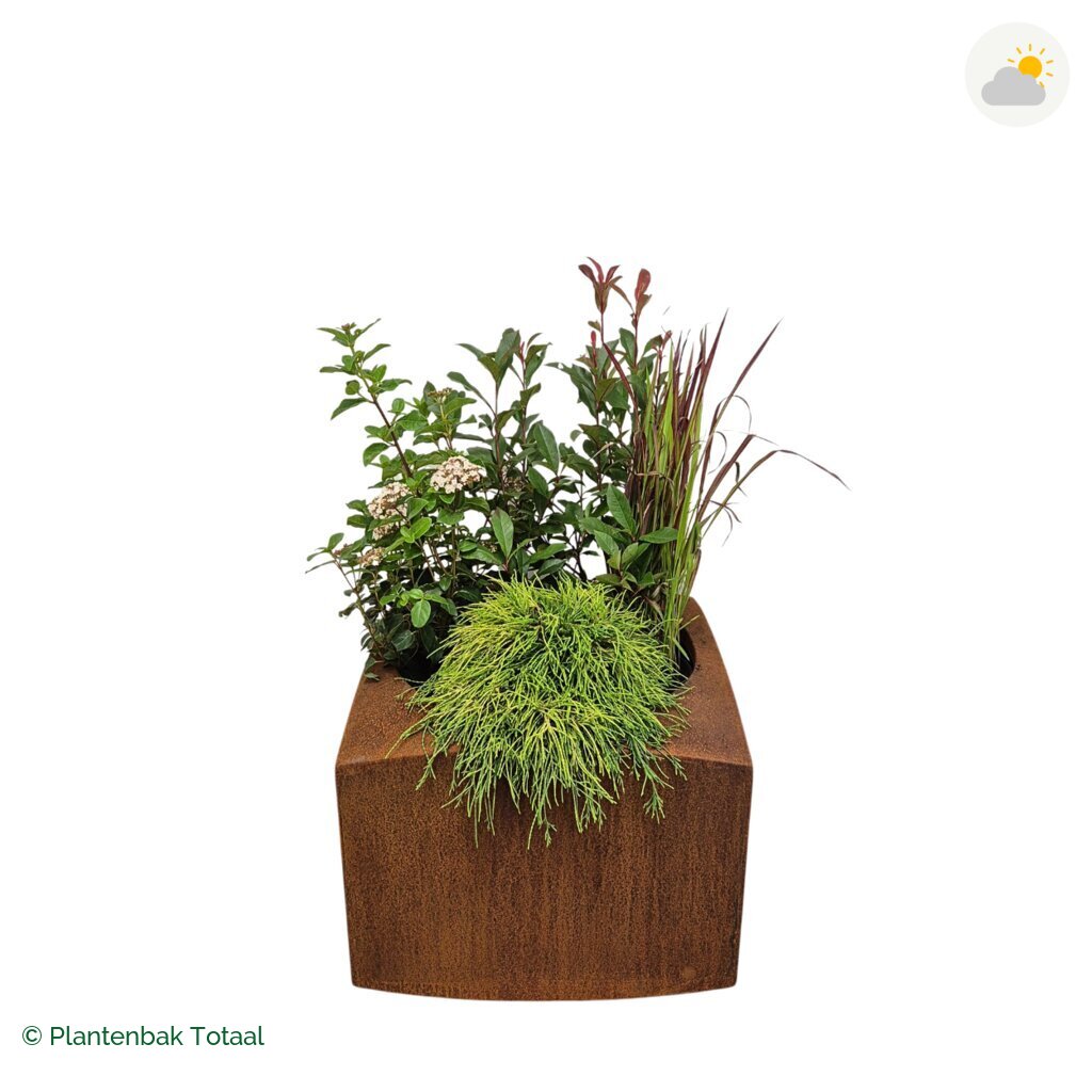 productfoto van plantenbak Cortenstaal Nooa Set Eifel
