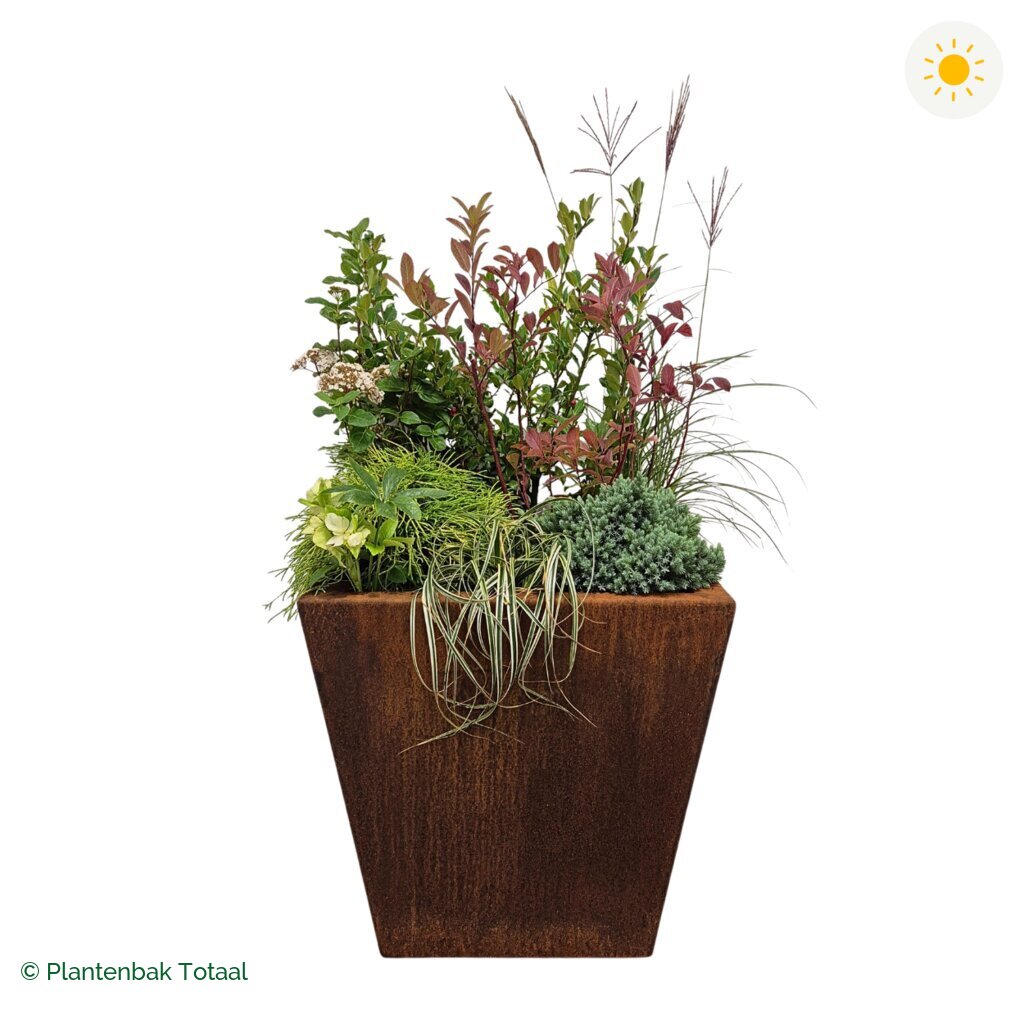 productfoto van plantenbak Cortenstaal Tap Set Bretagne