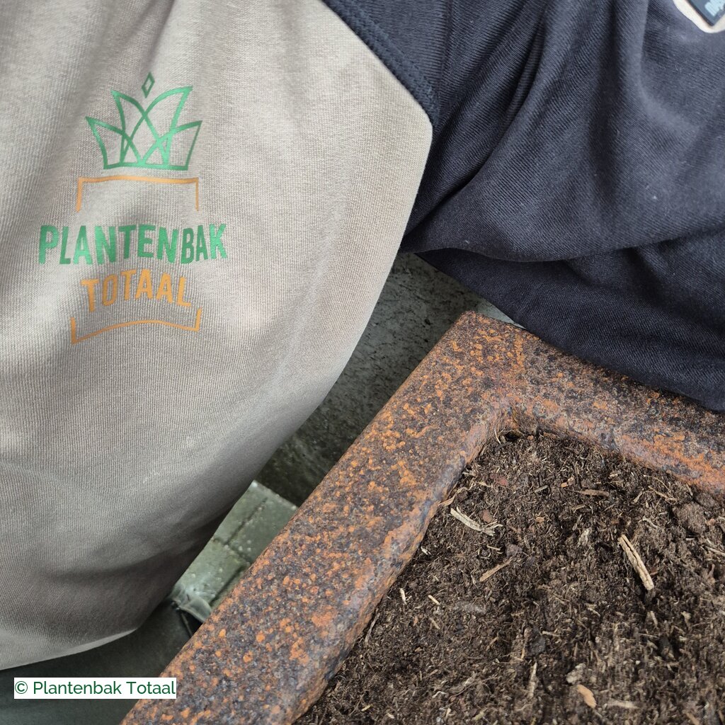 productlijn foto van plantenbak CS Carrez rechthoek