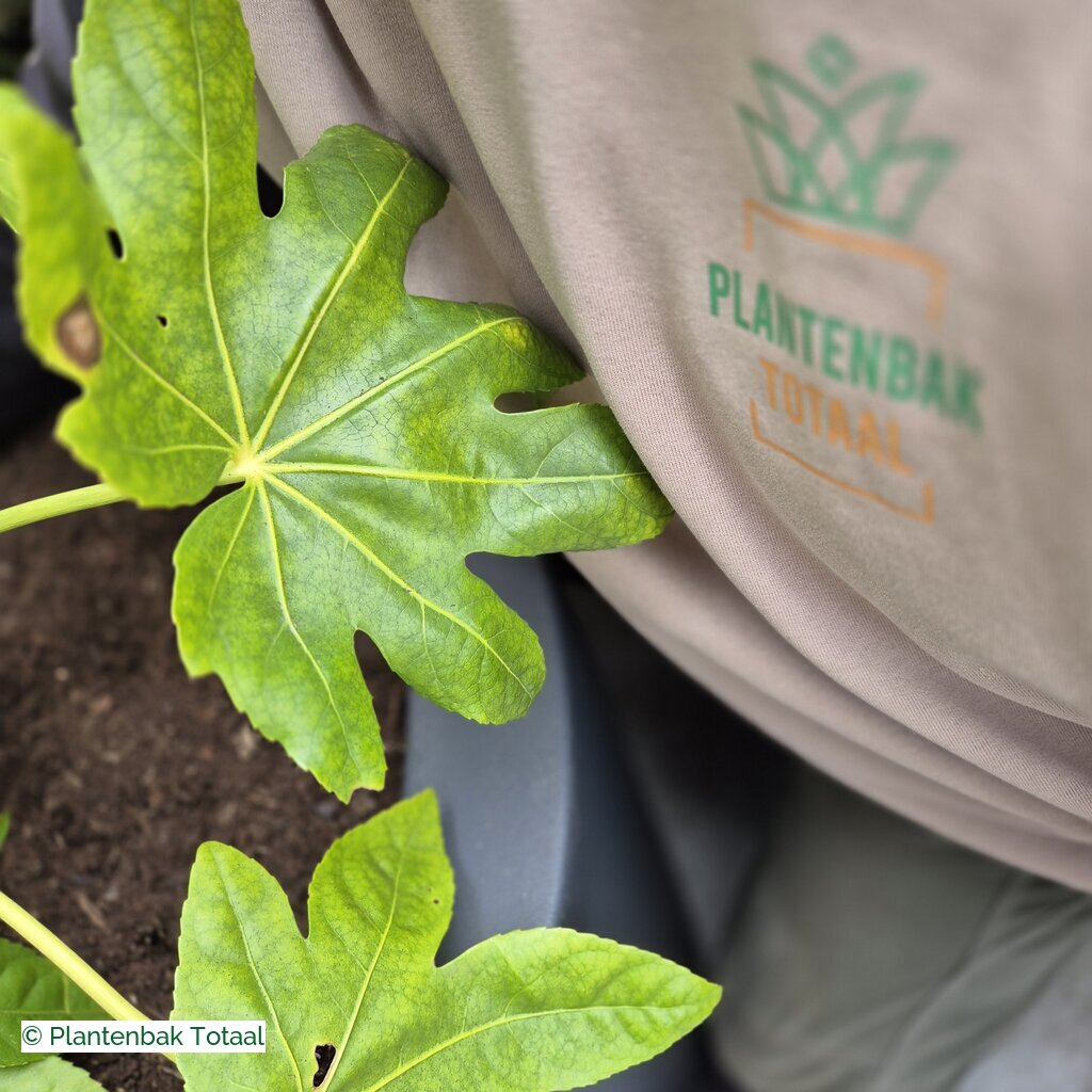 productlijn foto van plantenbak PO Circum rond