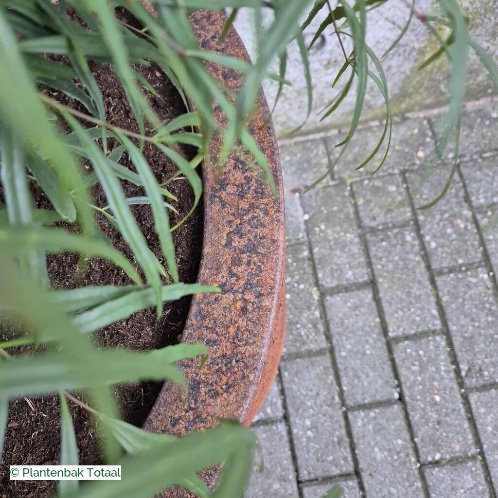 productlijn foto van plantenbak CS Circum rond