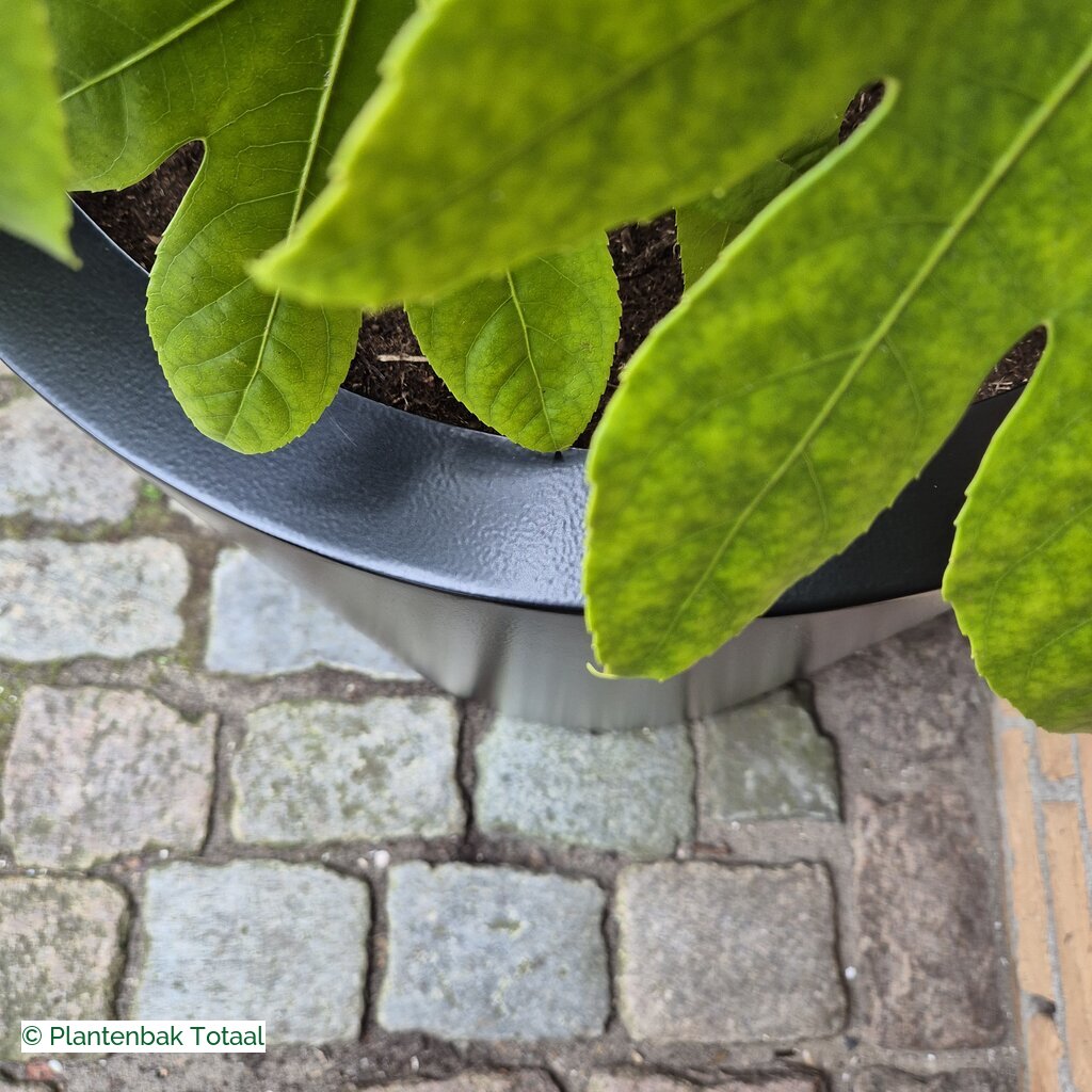 productlijn foto van plantenbak AL Circum rond