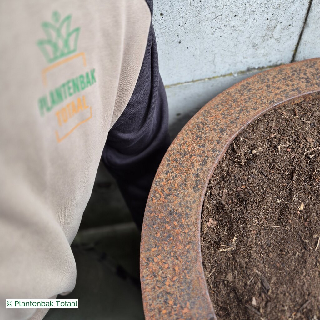 productlijn foto van plantenbak CS Conic rond