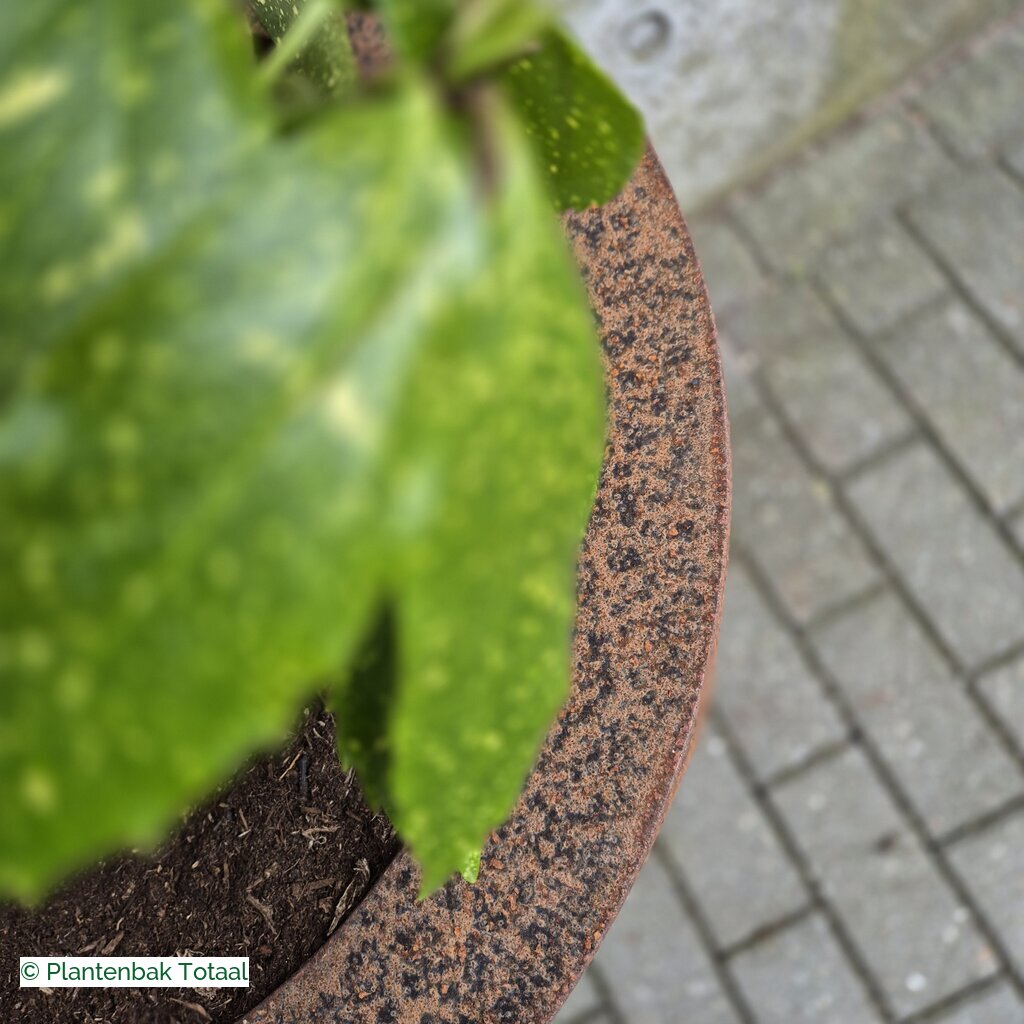 productlijn foto van plantenbak CS Conic rond
