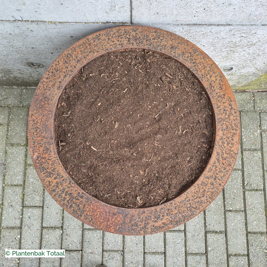 productlijn foto van plantenbak CS Conic rond
