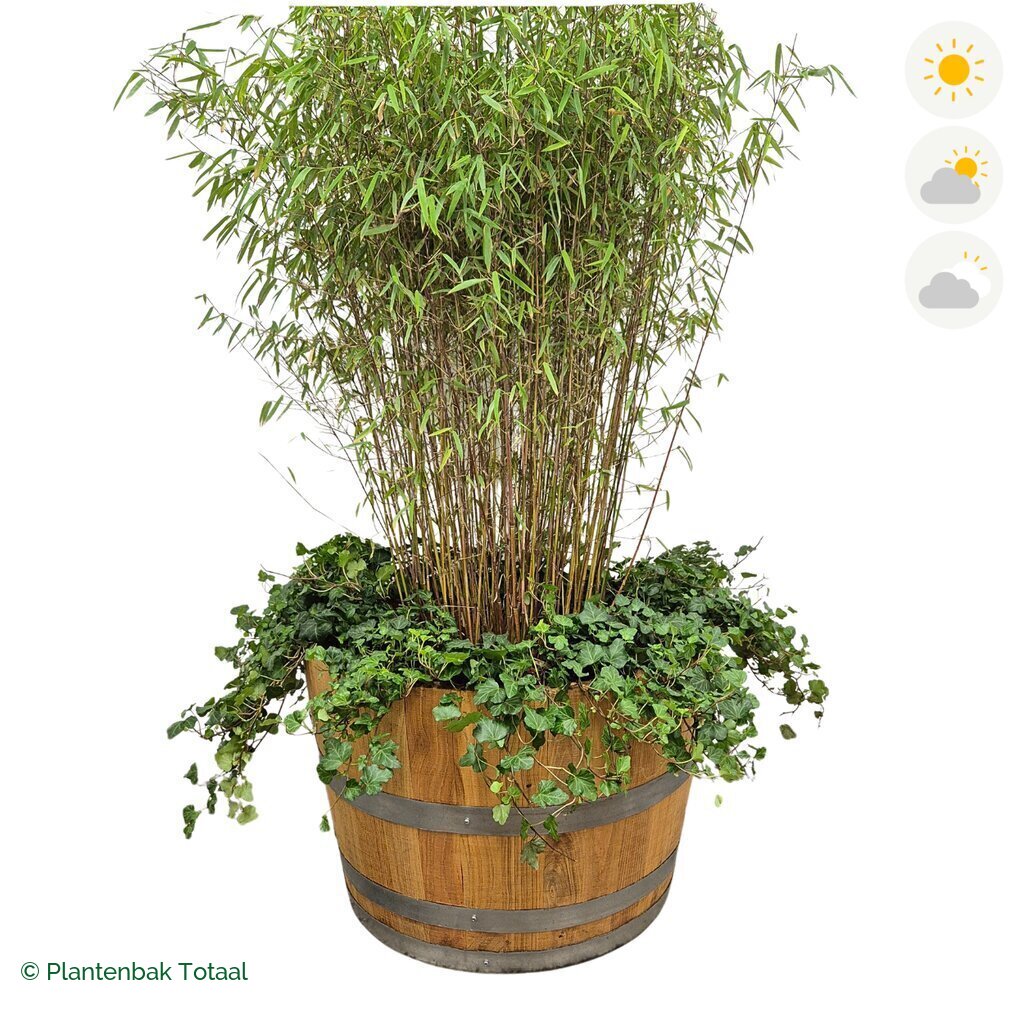 productfoto van plantenbak Eikenhout Half Wijnvat Bamboe Combinatie