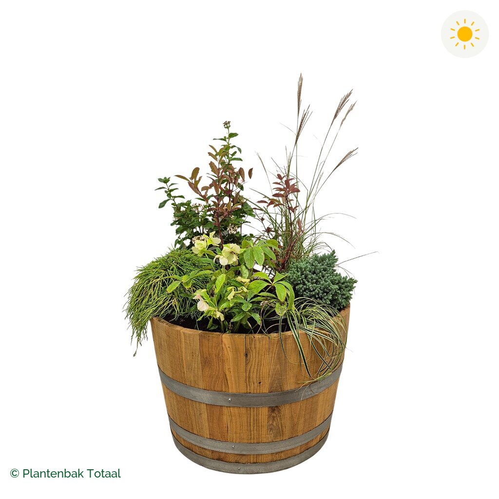 productfoto van plantenbak Eikenhout Half Wijnvat Set Bretagne