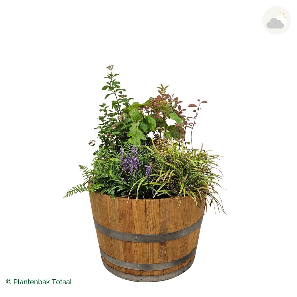 productfoto van plantenbak Eikenhout Half Wijnvat Set York