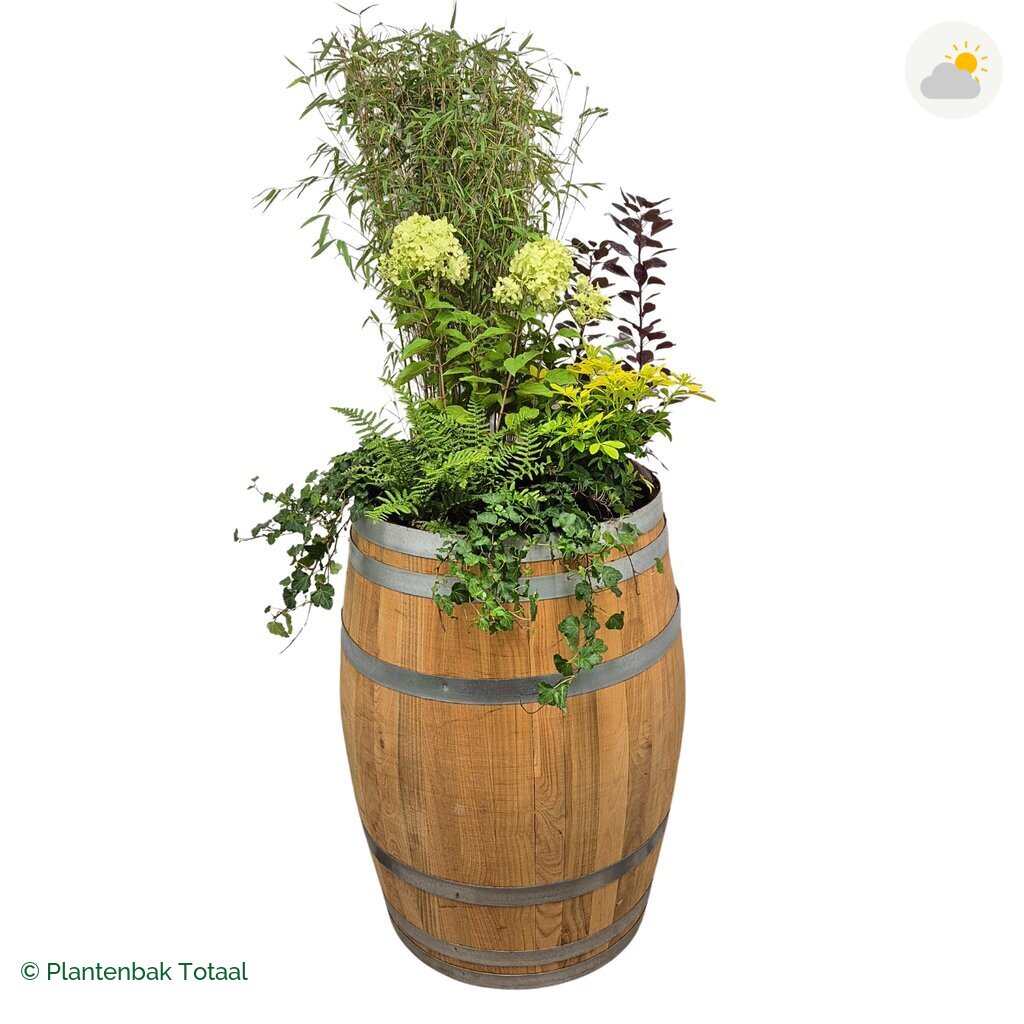 productfoto van plantenbak Eikenhout Wijnvat Set Bohemen
