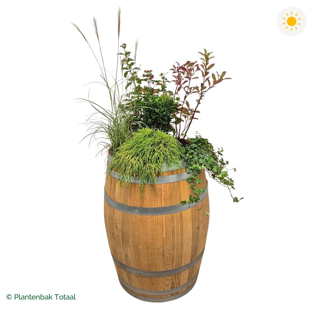 productfoto van plantenbak Eikenhout Wijnvat Set Bretagne
