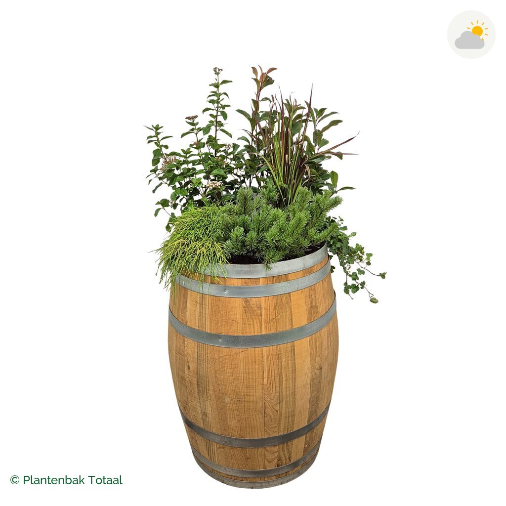 productfoto van plantenbak Eikenhout Wijnvat Set Eifel