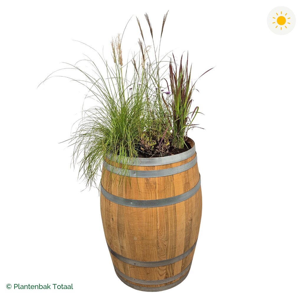 productfoto van plantenbak Eikenhout Wijnvat Set Savanne