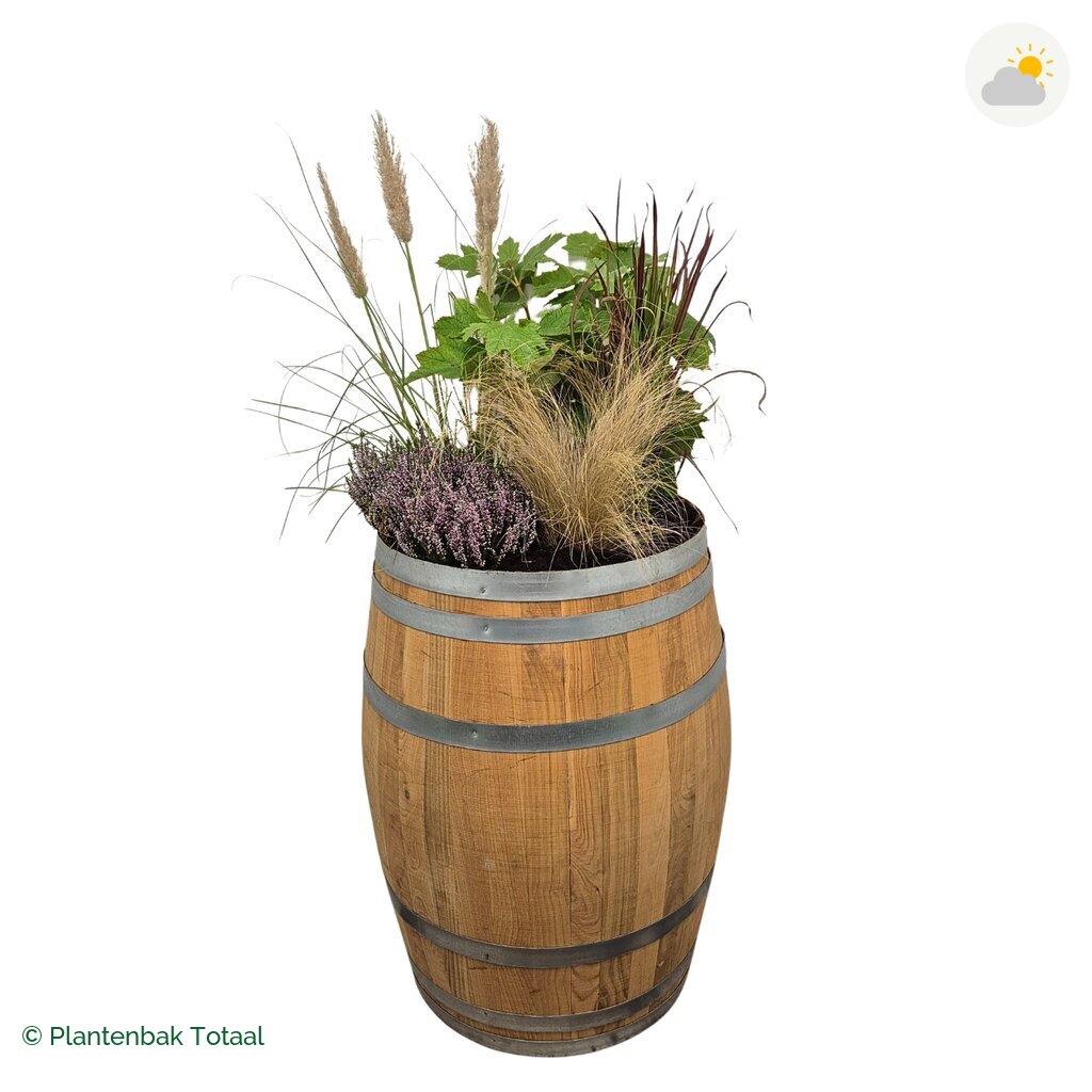 productfoto van plantenbak Eikenhout Wijnvat Set Veluwe