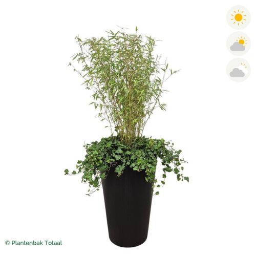 productfoto van plantenbak Fiberstone Belle Bamboe Combinatie