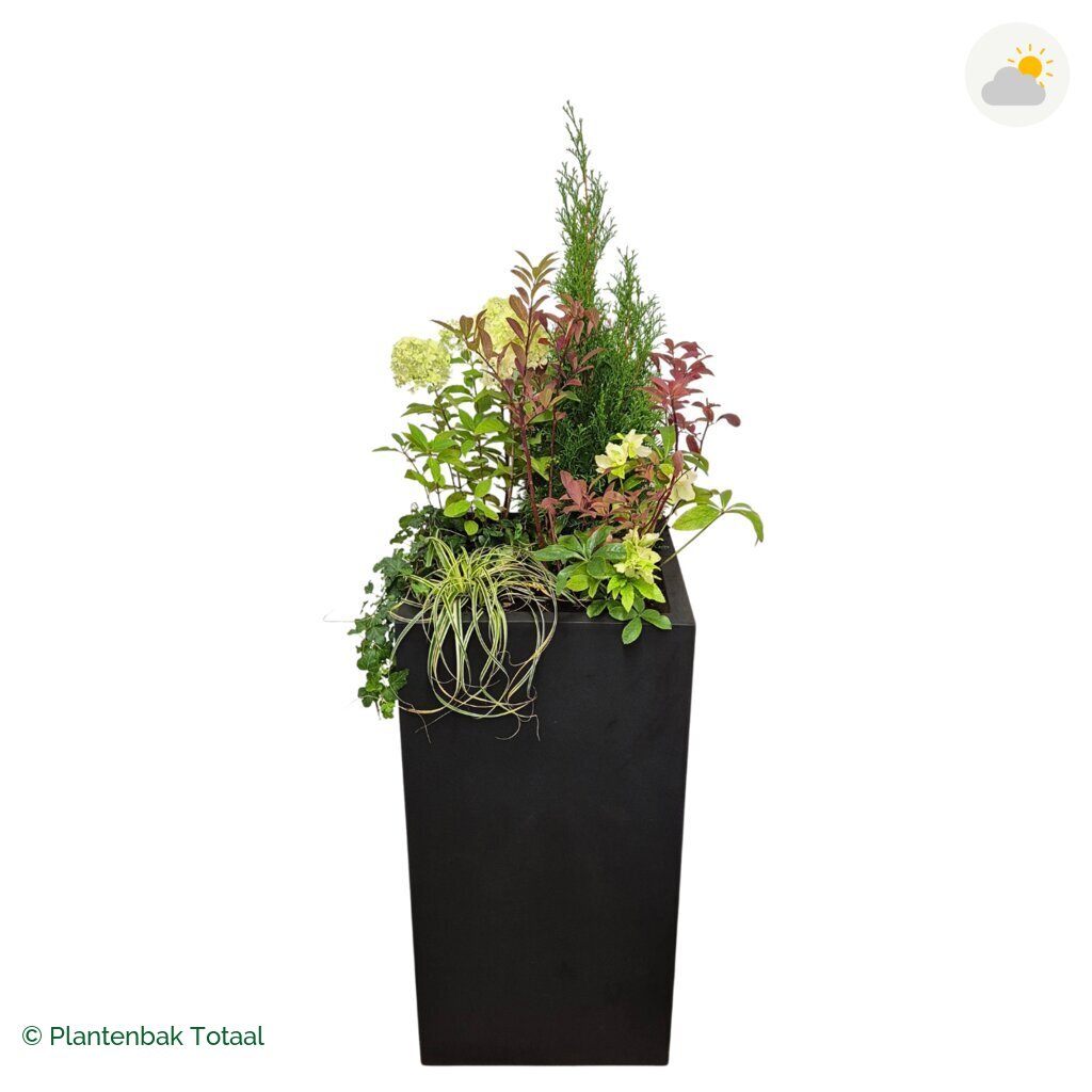 productfoto van plantenbak Fiberstone Bouvy XL Set Ardennen
